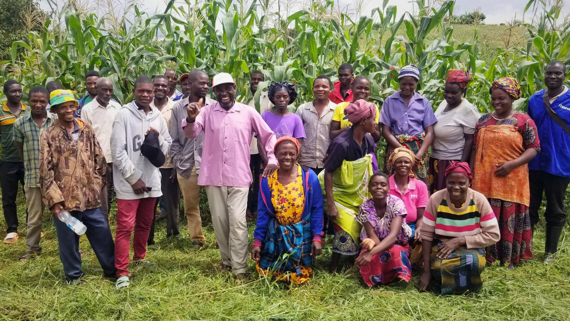 School Bus Vehicle 1